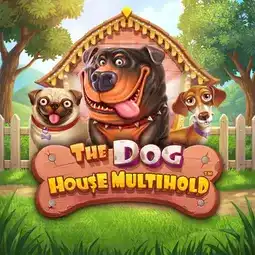 The Dog House Multihold game at Bitkingz Casino for Australia players
